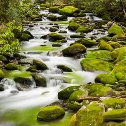 silky stream captured in the smoky mountains during springtime
