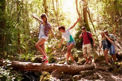group of friends on walk balancing on tree trunk in forest
