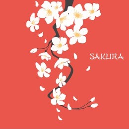 cherry blossom, japanese sakura branch with flowers. flat design