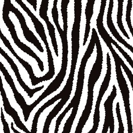 zebra fur texture pattern repeats seamlessly.