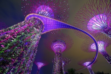 supertree garden at night, garden by the bay