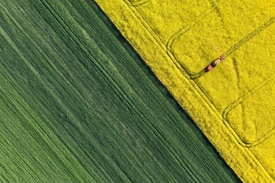 aerial view of harvest fields with tractor in poland