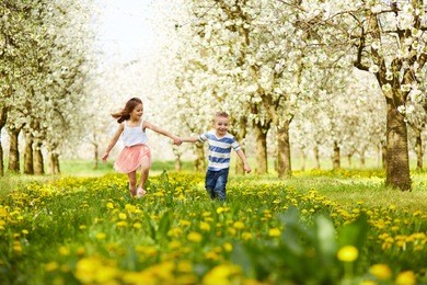 boy goes with the girl in a blossoming orchard