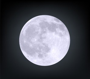 vector realistic moon.