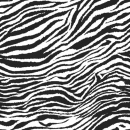 seamless zebra. vector pattern print background
