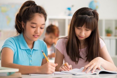 classmates working in pair during the lesson