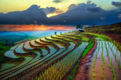 terraced paddy field in mae-jam village , chaingmai province , thailand