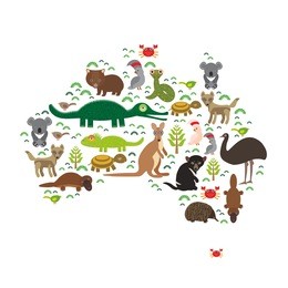 map of australia. echidna platypus ostrich emu tasmanian devil cockatoo parrot wombat snake turtle crocodile kangaroo dingo octopus fish. vector illustration
