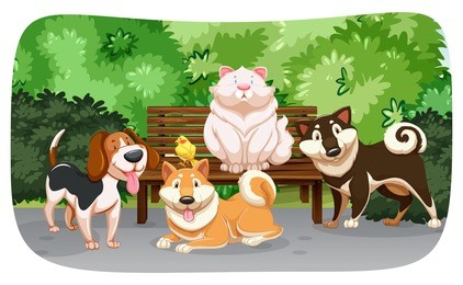 dogs and cat in the park