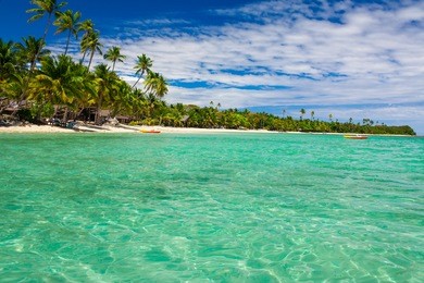 coconut palm trees over tropical lagoon on fiji islands
