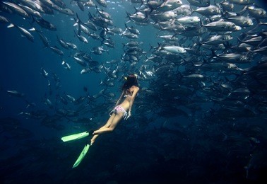 young lady diving by the school of jack fish on the single breath