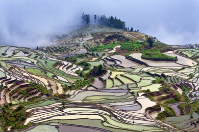 terraced rice fields in water season of hani ethnic people in yunnan province, china.