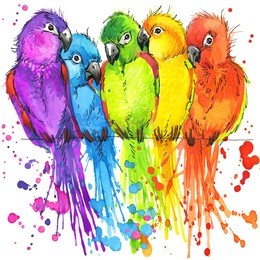 funny parrots t-shirt graphics, colorful parrots illustration with splash watercolor textured background. illustration watercolor colorful parrots for fashion print, poster textiles, fashion design