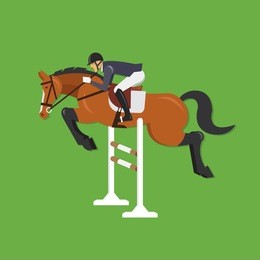horse jumping over fence, equestrian sport