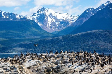 ilha dos passaros located on the beagle channel in ushuaia, argentina
