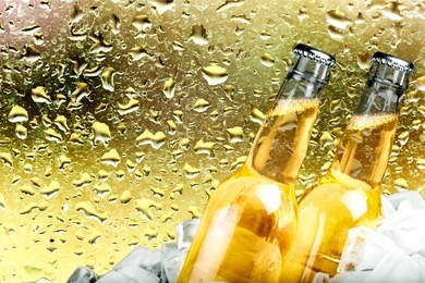 beer, beer bottle, ice.