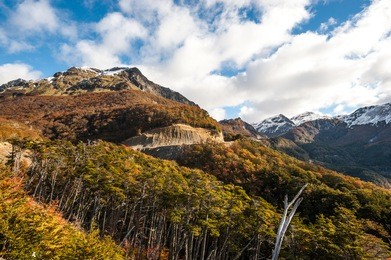 autumn in patagonia. cordillera darwin, part of andes range, isla grande de tierra del fuego, chilean territory, view from the argentina side