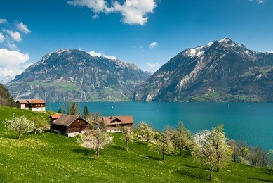 spring scenery at lake lucern, switzerland