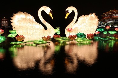 xi 'an datang furong garden lanterns