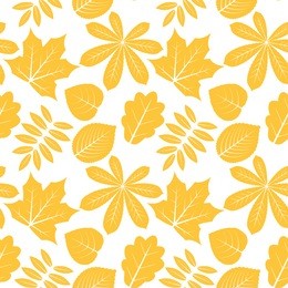 vector seamless pattern with autumn outline leaves of different trees on a white background. eps 10.