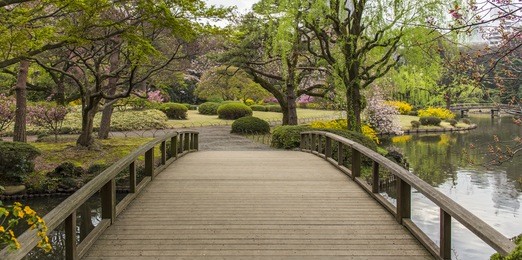 shinjuku gyoen, tokyo, japan