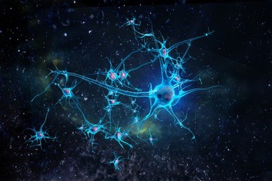 neurons on the beatiful backdrop