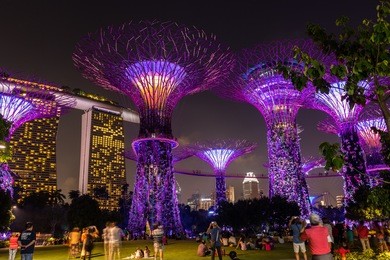 supertree grove, gardens by the bay, singapore