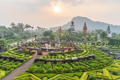 nong nooch tropical botanical gardenat sunrise , pattaya, thailand