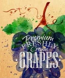 poster watercolor grapes lettering premium freshly crown grapes drawing on kraft
