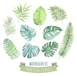 watercolor set with tropical leaves. vector element for your design.