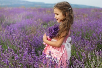 happy cute little girl is in a lavender field holding bouquet of purple flowers