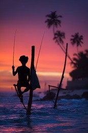 sri lanka's stilt fisherman.  fishing on stilt is very common in many asian countries, but most of all - in sri lanka, in the ahangama village. 