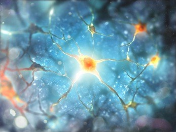 neurons and nervous system.  3d render of nerve cells