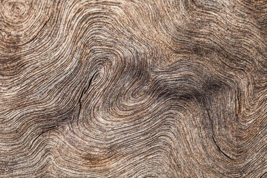 old wood background or texture