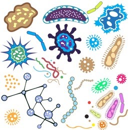 bacteria, microorganism and virus cells isolated on white background.