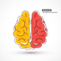 hand-drawn colored brain. color sketch of the brain. colored hand drawn icon of the brain.
