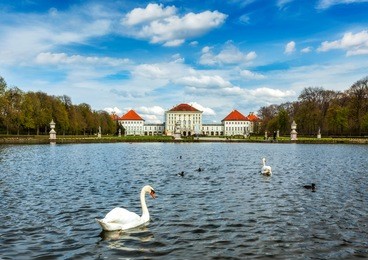 swan in fountain in grand parterre (baroque garden) and the rear view of the nymphenburg palace. munich, bavaria, germany