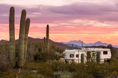 fifth wheeler rv parked on campsite in sonoran desert beside saguaro cacti