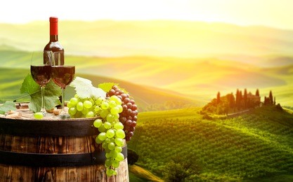 red wine with barrel on vineyard in green tuscany, italy