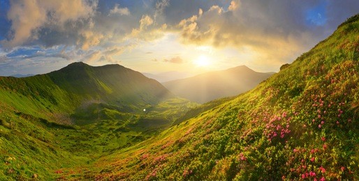 in summer mountains