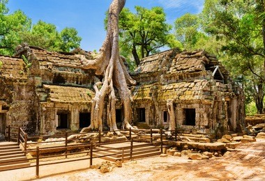 ancient gallery of amazing ta prohm temple overgrown with trees. mysterious ruins of ta prohm nestled among rainforest in angkor, siem reap, cambodia. angkor is a popular tourist attraction.