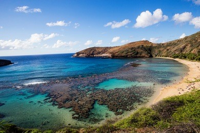coral reef with snorkeling and beach goers with blue water and sky in hanauma bay on the south shore of oahu on hawaii.