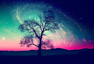 red alien landscape with alone tree over the night sky with many stars - elements of this image are furnished by nasa
