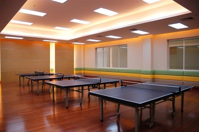 the table tennis field