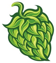 hop cone