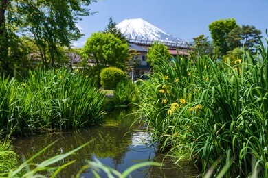 one of the construction heritage of mount fuji is a world heritage, oshino hakkai.