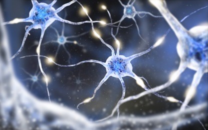 illustration neurons
