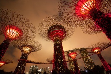 garden by the bay, singapore