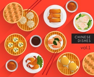 food illustration : chinese food : vector illustration