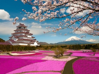 spring season in japan